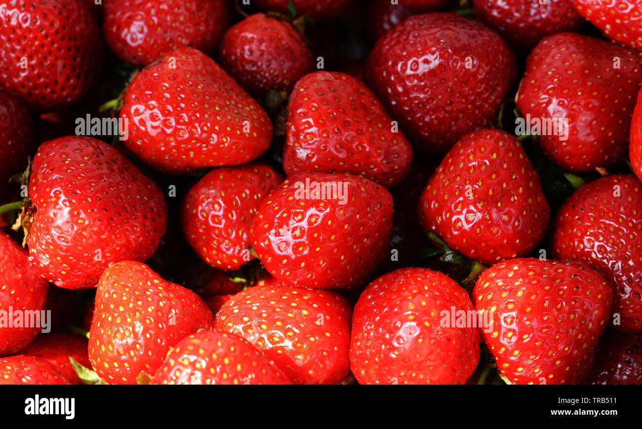 beautiful background with juicy ripe strawberries in summer Stock Photo ...