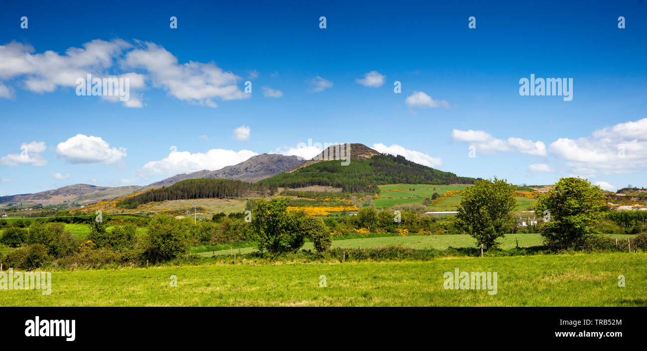 Ireland, Co Louth, Cooley Peninsula, Templetown, Carlingford Mountain