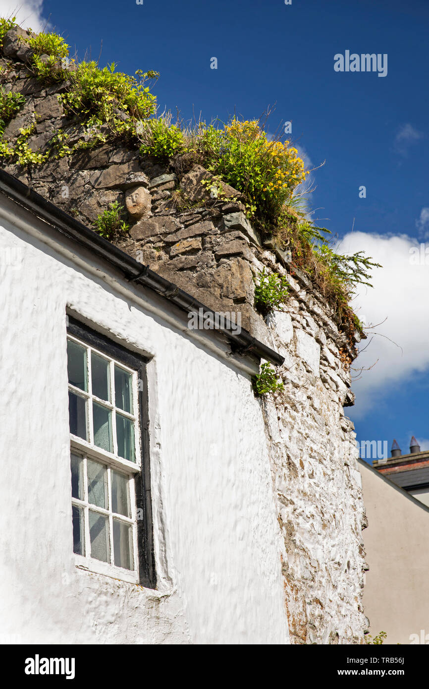 Ireland, Co Louth, Cooley Peninsula, Carlingford, Newry Street, face