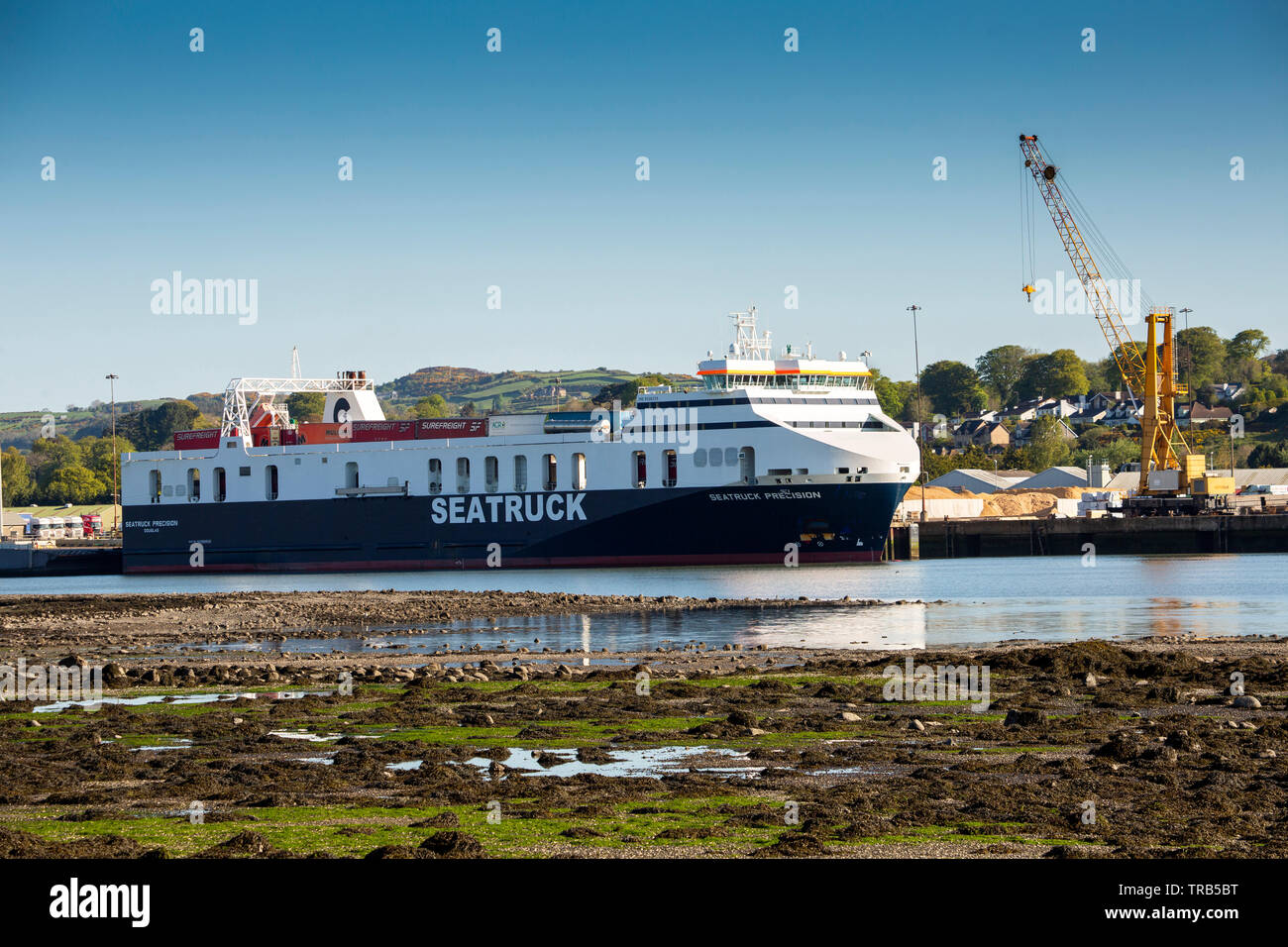 Ireland, Co Louth, Omeath, view across Carlingford Lough, Seatruck Precision moored in Warrenpoint Harbour Stock Photo