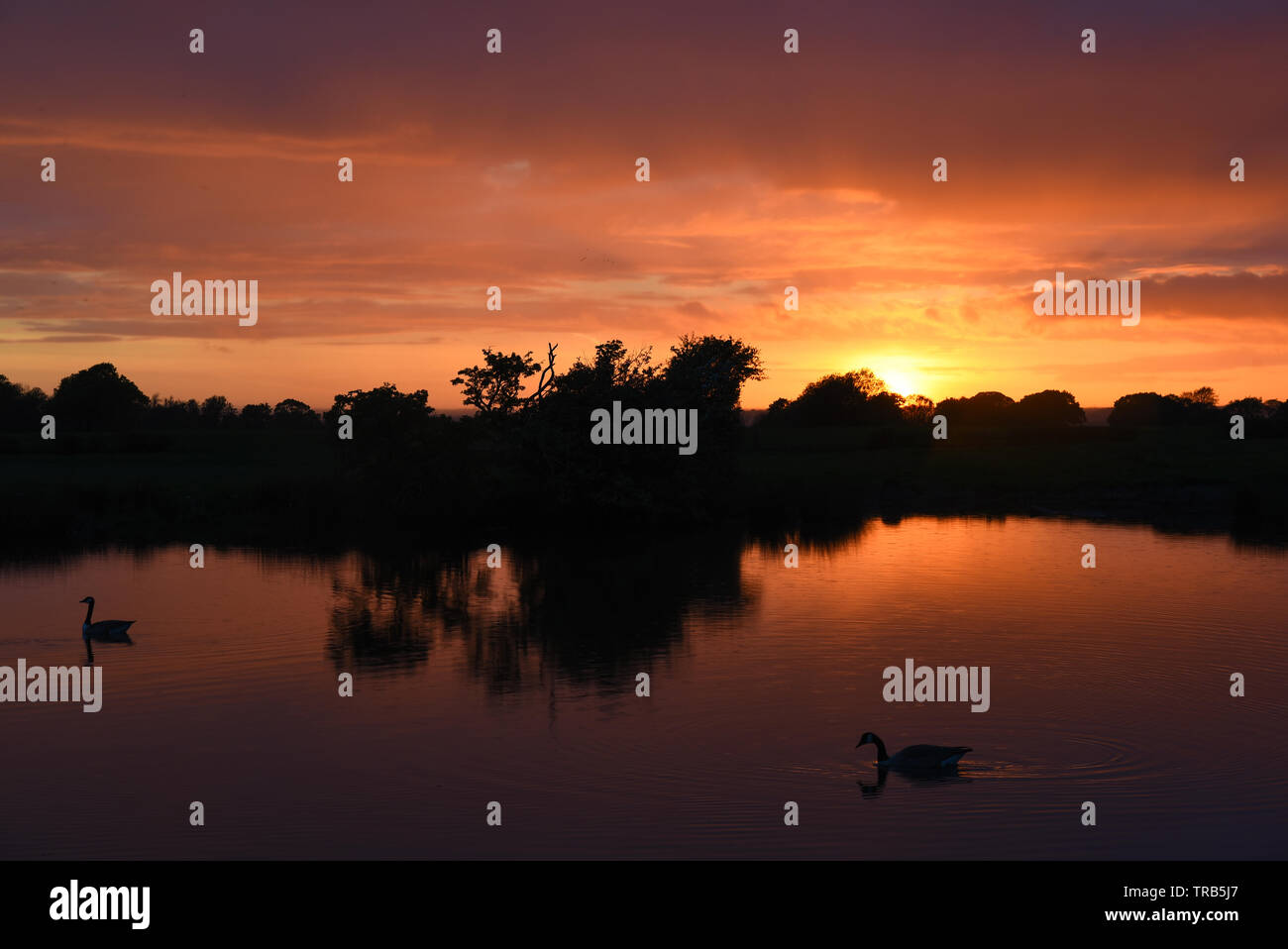 Sunset reflections on still water Stock Photo - Alamy