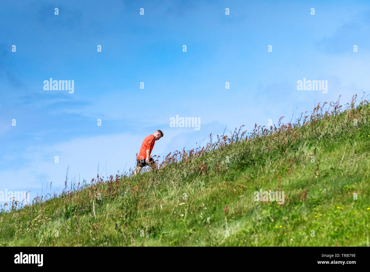 A man wearing a bright red top seen against a blue sky walking up a steep grass covered slope in the countryside. Stock Photo