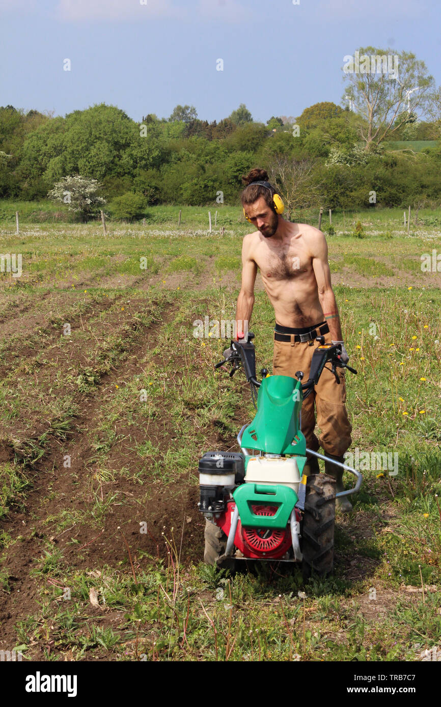 Young danish farmer working with two wheel walking tractor and wearing