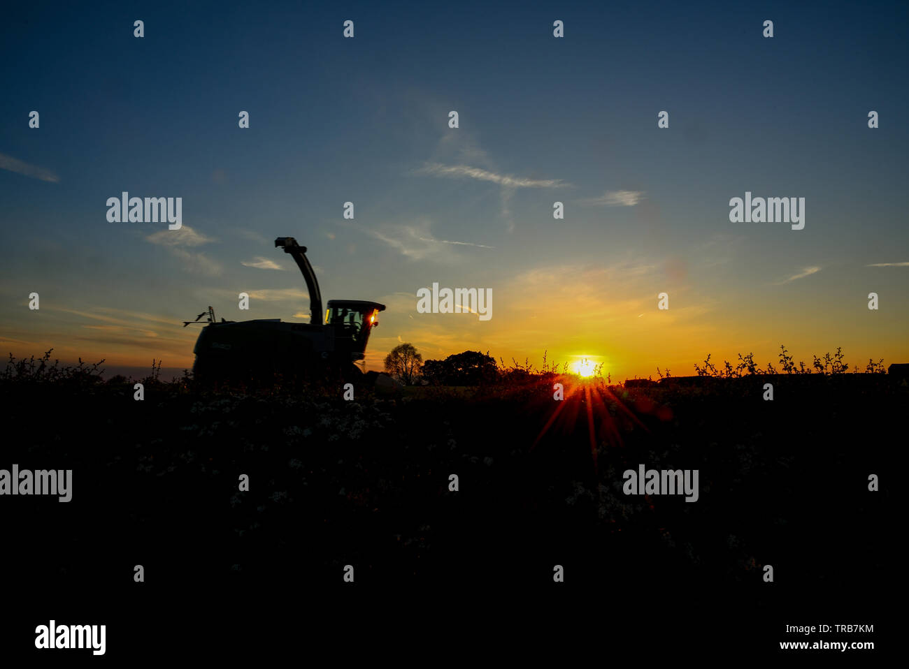 Silage time in the valley Stock Photo
