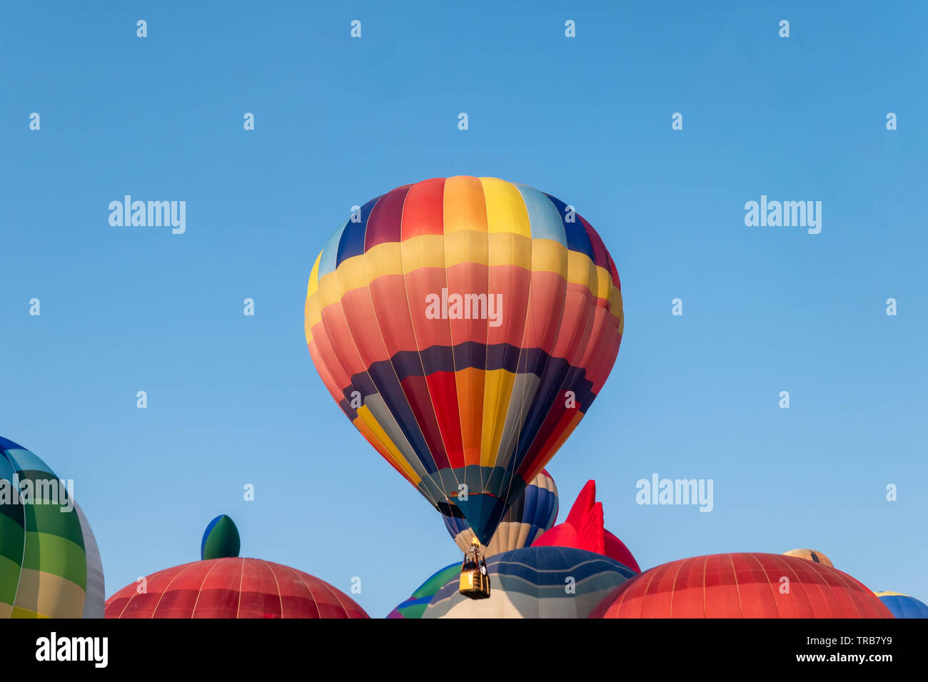 Colorful hot air balloons flying with blue sky in annual festival Stock ...
