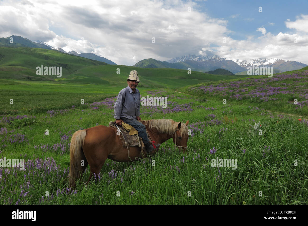 An old kyrgyz man in grassland of northern Kyrgyzstan. Stock Photo