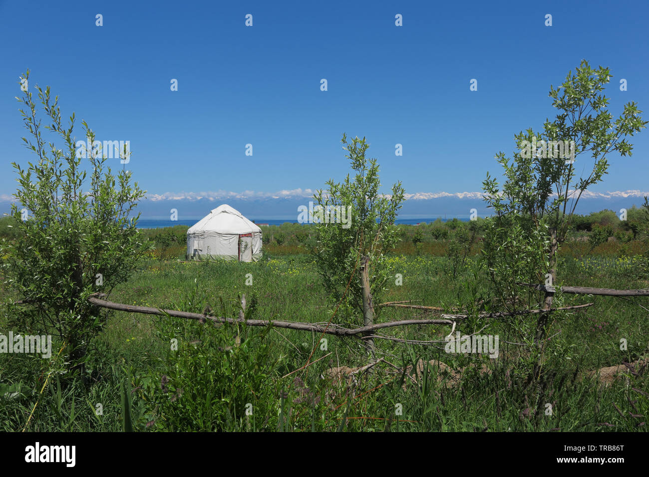 The kyrgyz yurt in a garden. Stock Photo