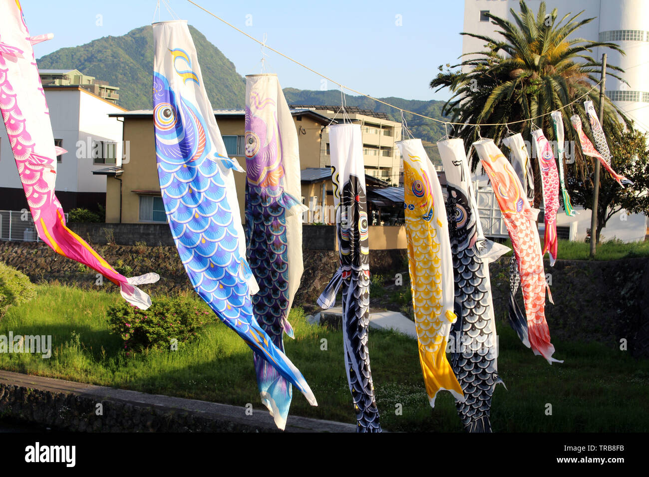 A close-up view of the festival of Japanese koinobori flying koi in Beppu. Taken in Oita, April 2019. Stock Photo