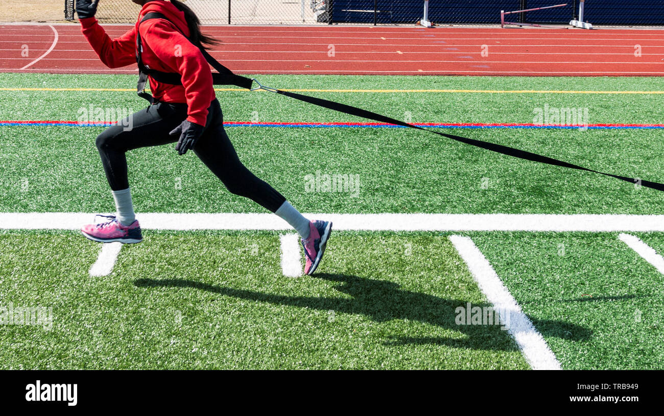 A high school teenage girl wearing a red sweatshirt, spandex and gloves is pulling a sled across the turf during winter track and field practice. Stock Photo