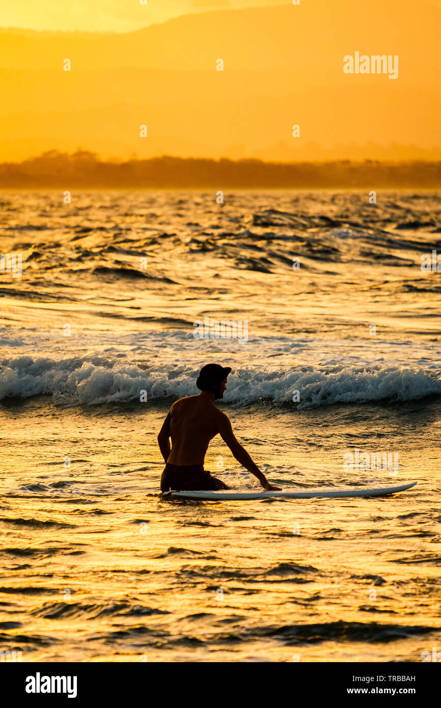 Male Surfer in the Golden Hour Glow at Byron Bay, Australia Stock Photo