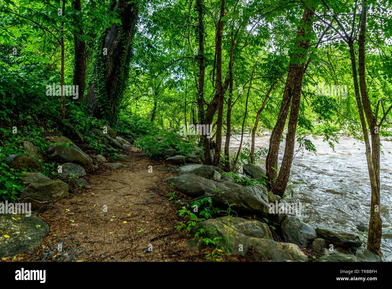 The fabulous Broad River that runs through Lake Lure and Chimney Rock