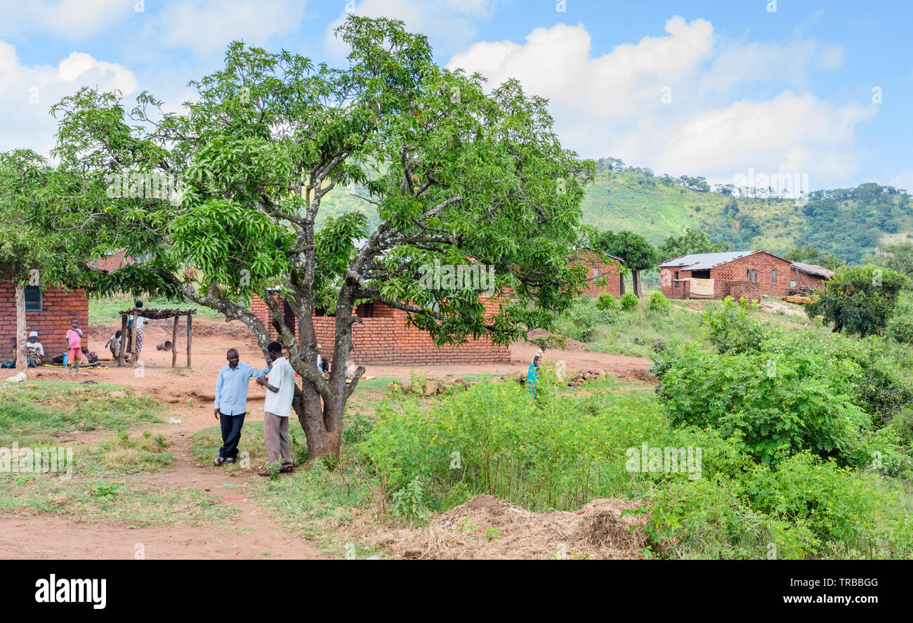 two Malawian men stand talking under a tree in their village in Nsanje Stock Photo