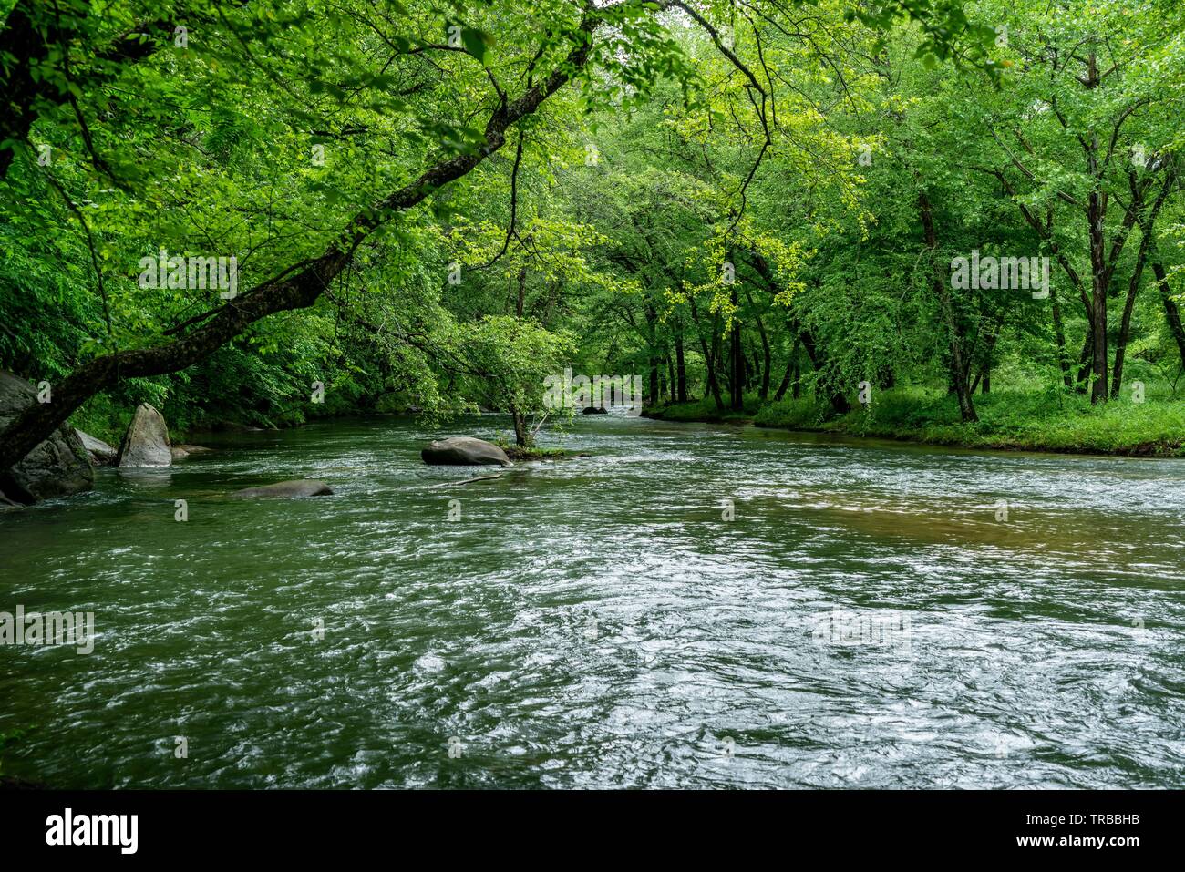 The fabulous Broad River that runs through Lake Lure and Chimney Rock