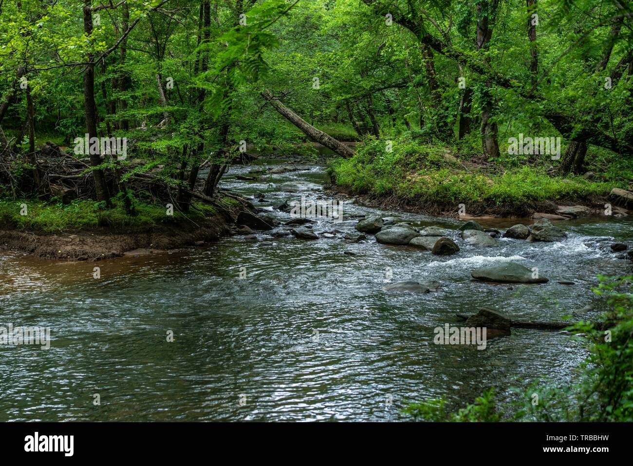 The fabulous Broad River that runs through Lake Lure and Chimney Rock