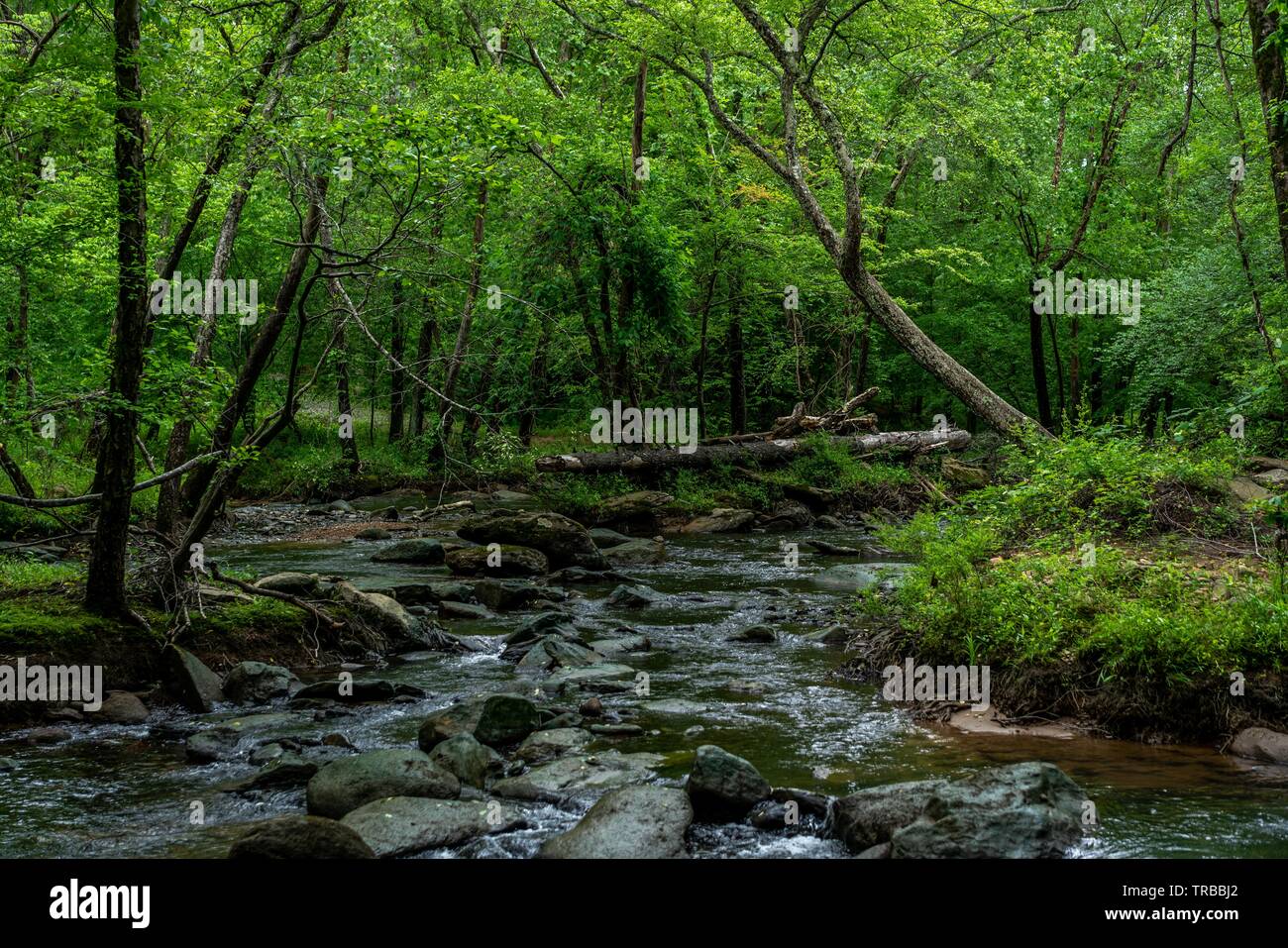 The fabulous Broad River that runs through Lake Lure and Chimney Rock