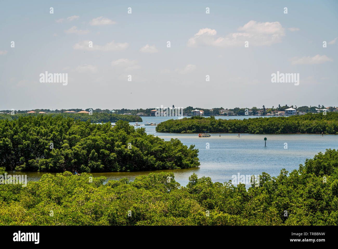 A look at some of the magnificent sights to see in Weeden Island Preserve. Stock Photo
