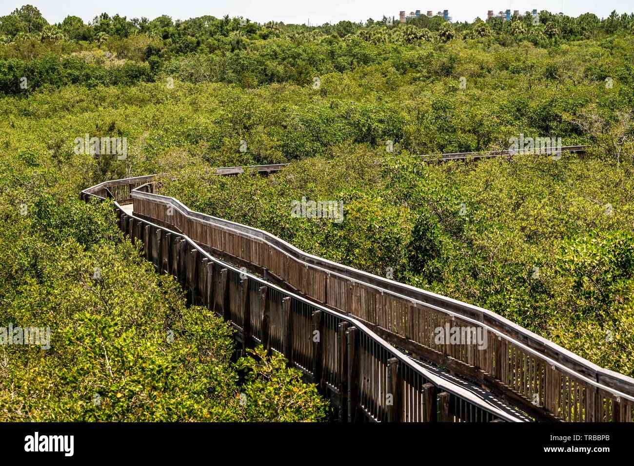 Weeden Island