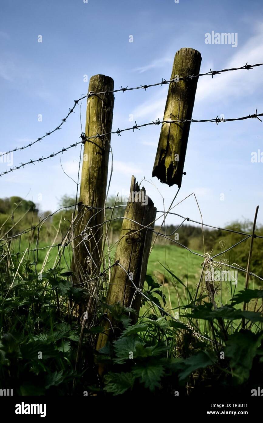 Broken fence Stock Photo