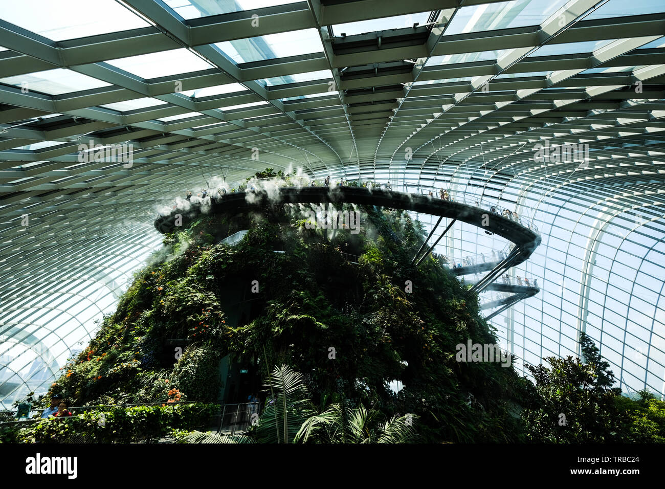 Cloud Forest, Gardens by the Bay, Singapore Stock Photo