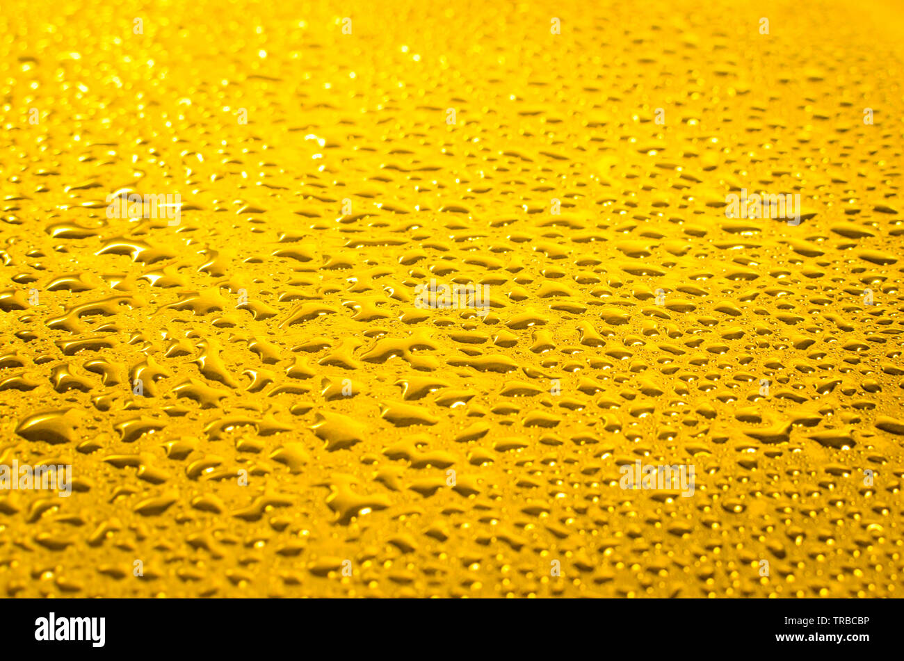 Perspiration, water droplets on the surface after rain. Drops in the backlight.Summer coolness in the water. Stock Photo