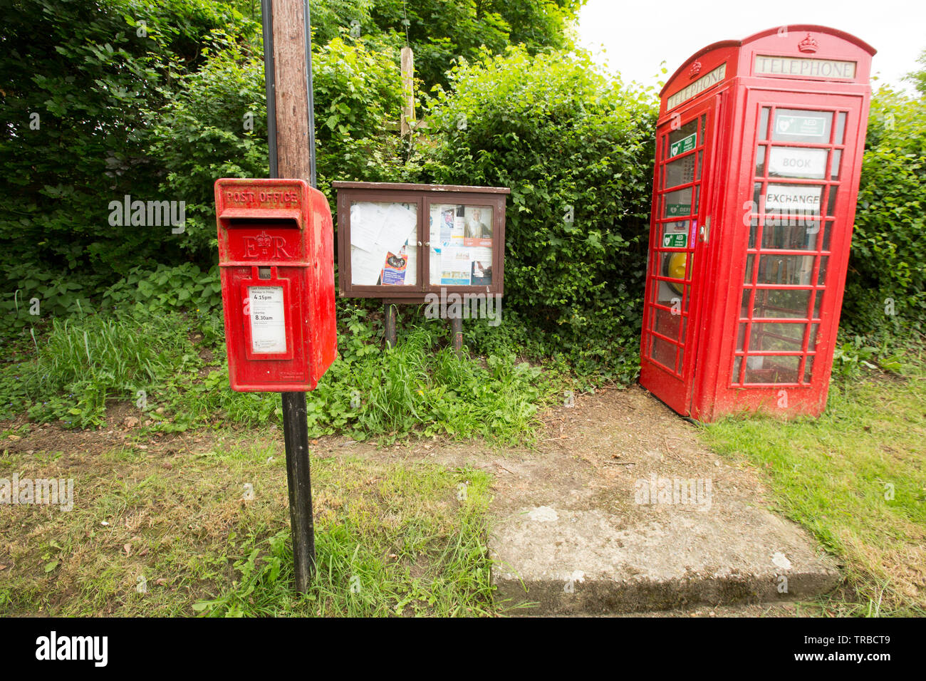 A red telephone box in rural Dorset that has been used as a book