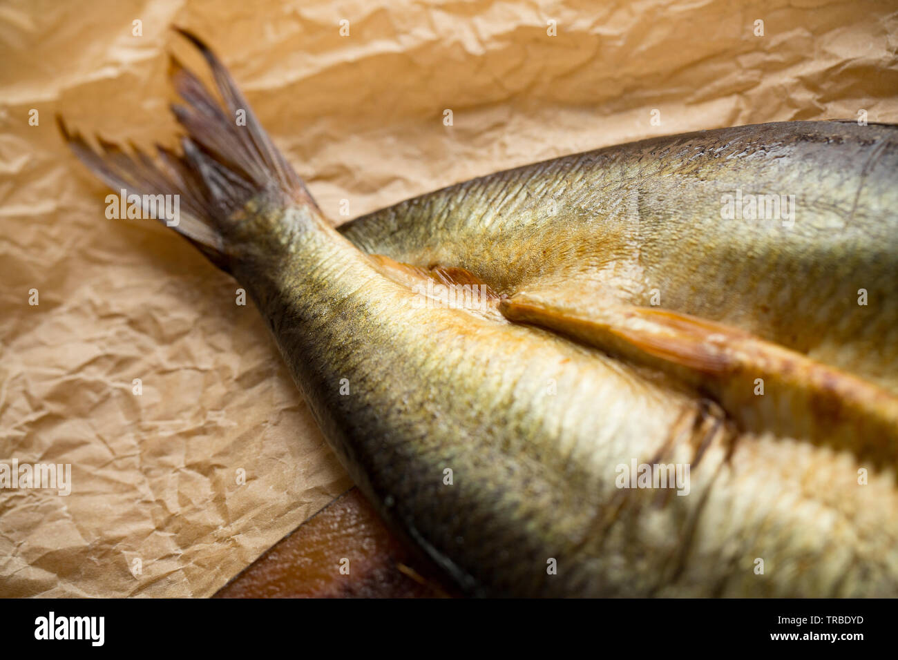 Detail of the tail of a herring, Clupea harengus, that has been split