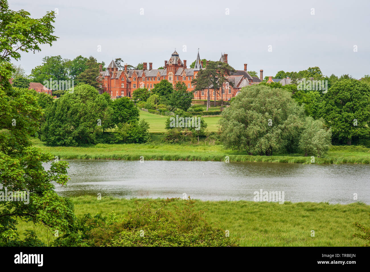 view of framlingham mere nature reserve suffolk uk Stock Photo Alamy