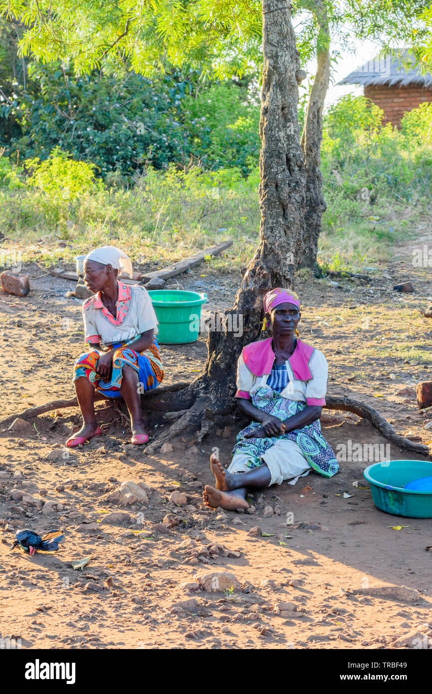 women wait sitting on the roots of an overhead tree in a village of Malawi Stock Photo