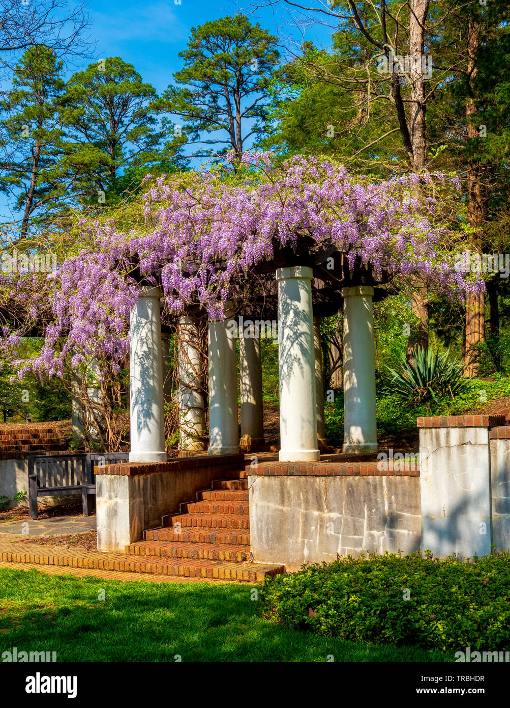 Gardens In Winston Salem