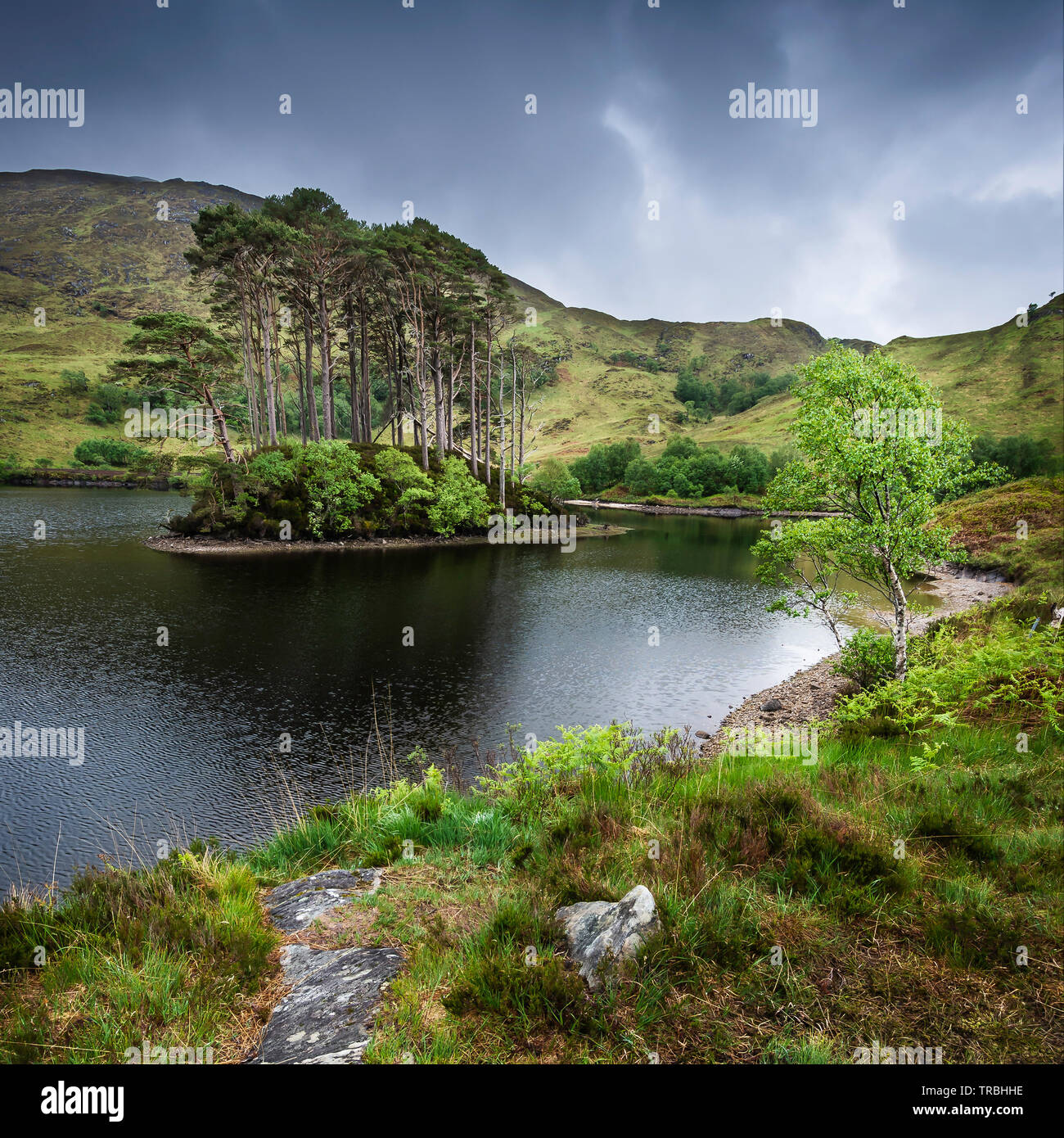 Scenic landscape of Scotland,UK.Pine trees growing on small island on the middle of lake, moody sky above green hills and rock on lakeshore.Nature UK. Stock Photo
