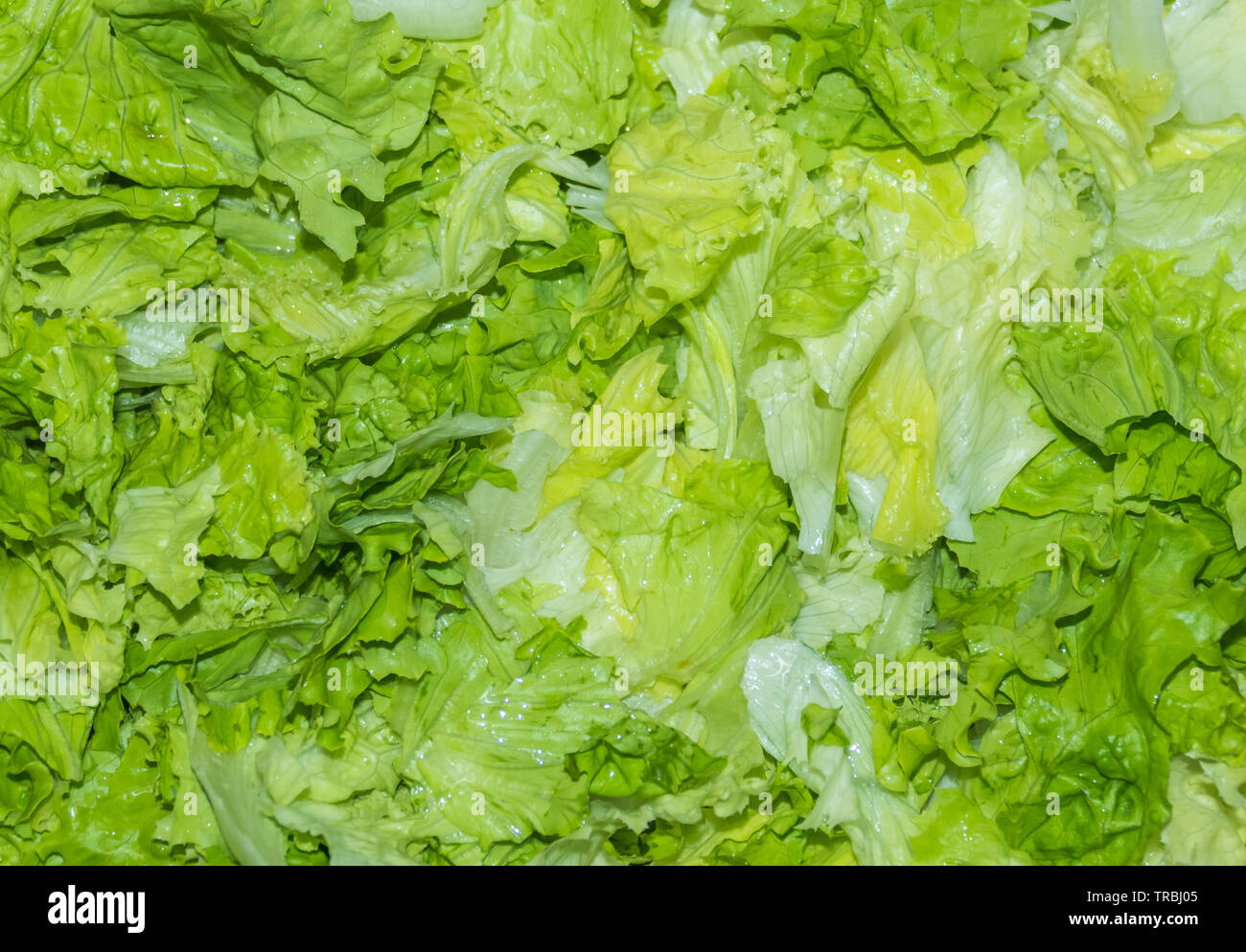 cut and washed lettuce prepared to make salad Stock Photo