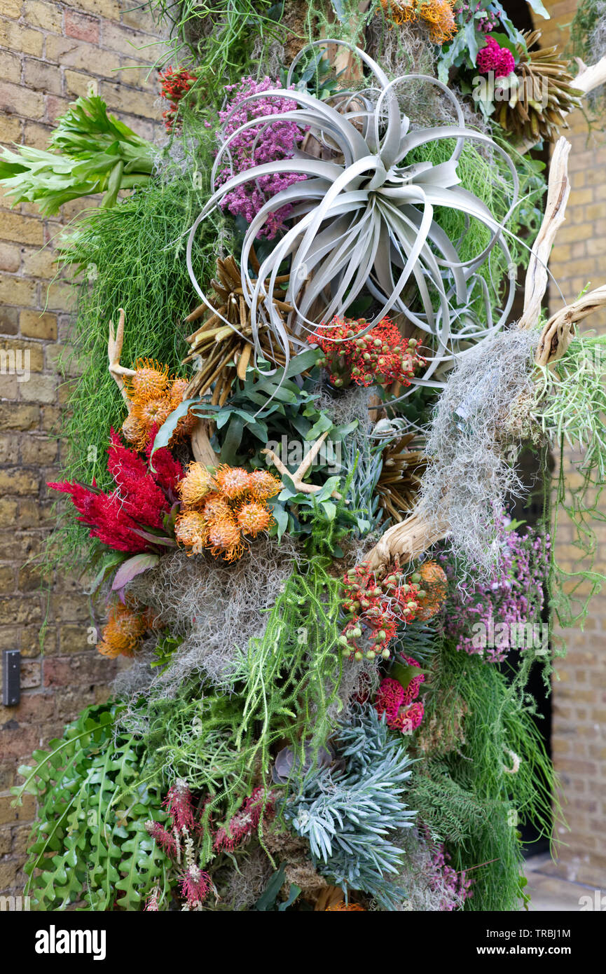 Under the sea Chelsea in bloom 2019 Stock Photo