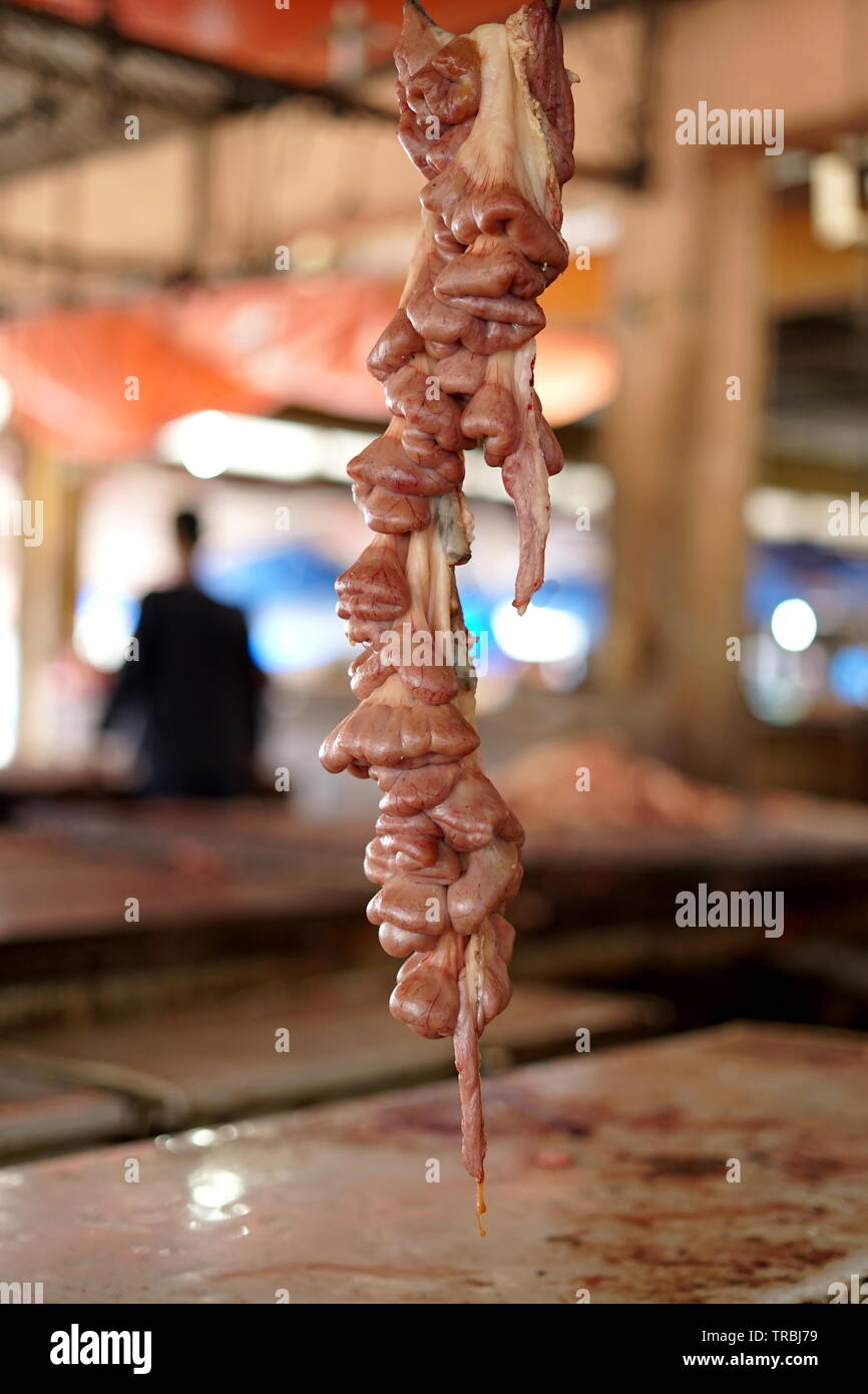 Cow intestines in the abdomen hanging at Slaughterhouse Stock Photo Alamy