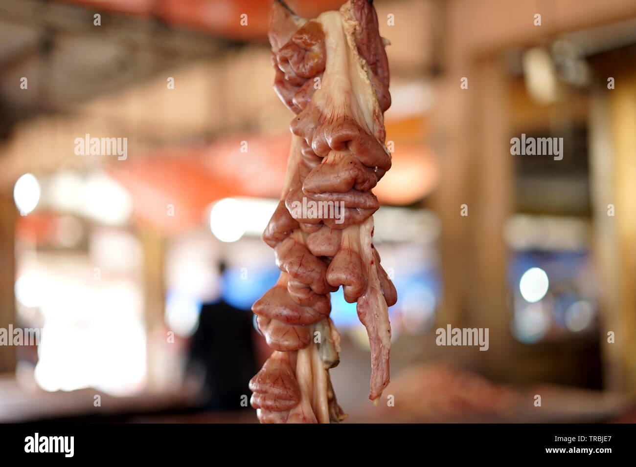 Cow intestines in the abdomen hanging at Slaughterhouse Stock Photo - Alamy