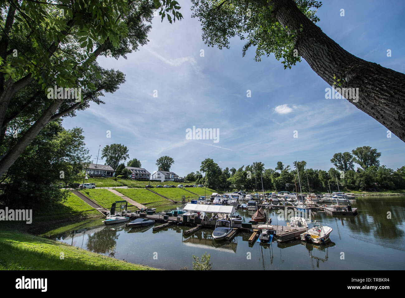 Duesseldorf, Lörick harbour, group of kayak riders, Germany Stock Photo