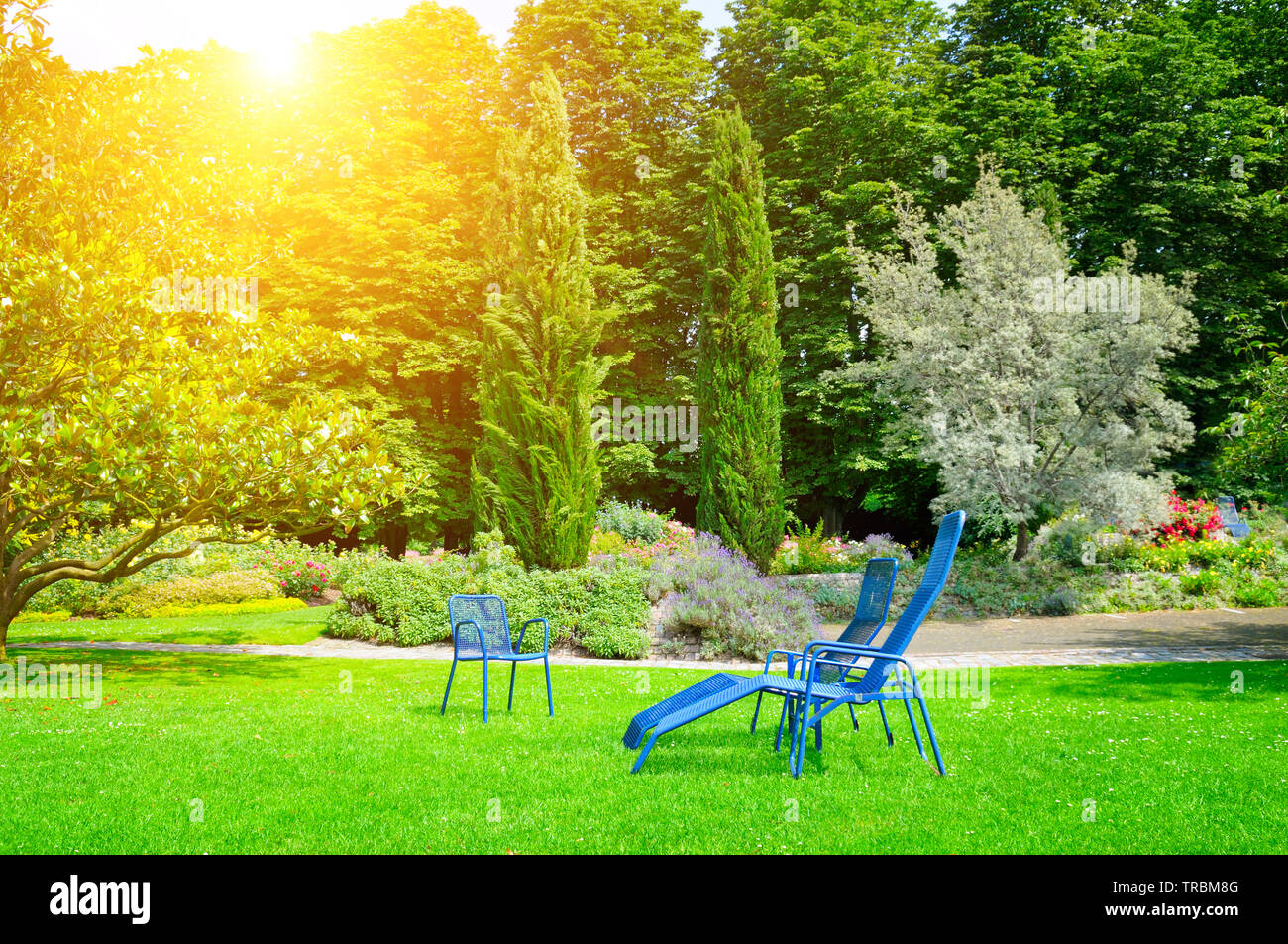 beautiful summer park with lawn and recliner Stock Photo