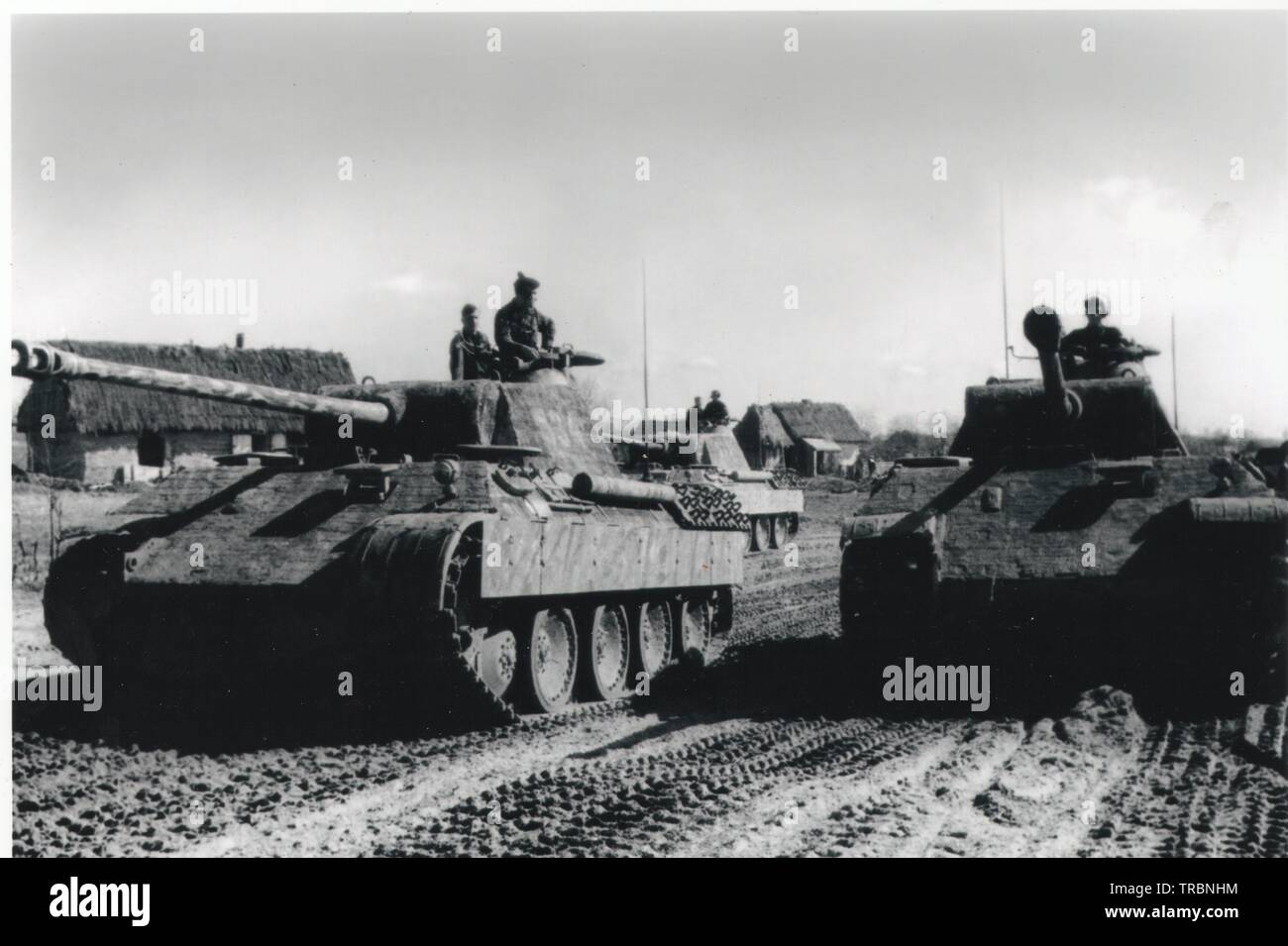 German Tanks on the Eastern Front 1944 The Tanks are Panthers from the 5th SS Panzer Division Wiking Stock Photo