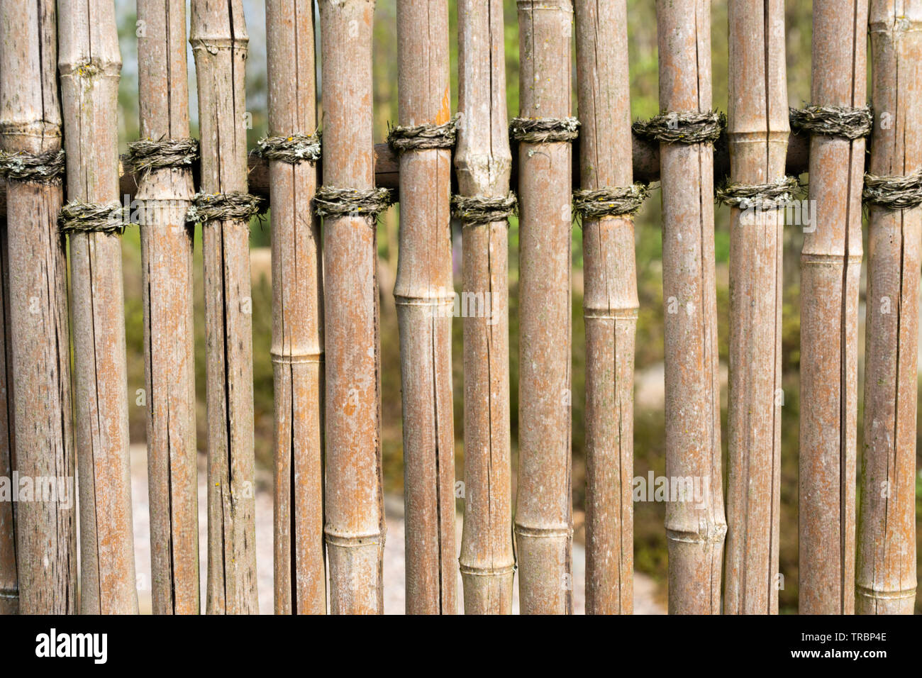 Weathered vintage bamboo fence patterned background Stock Photo