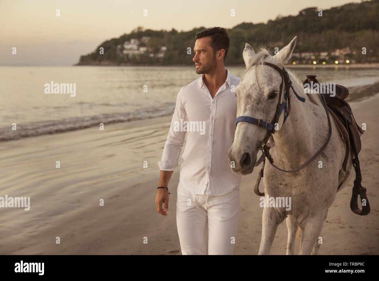Handsome, young guy walking with a stallion alongside the coast Stock Photo