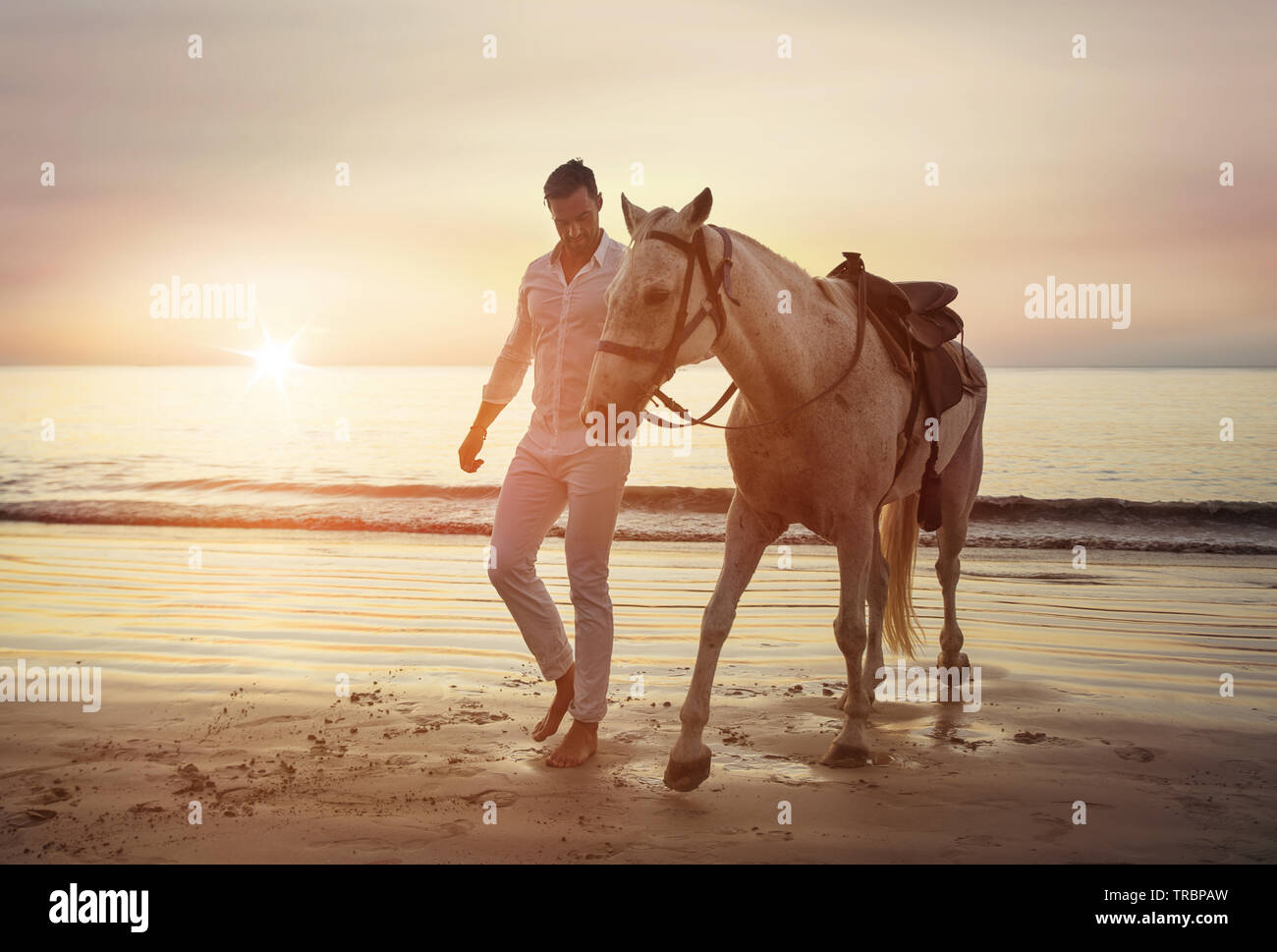 Handsome, young guy walking with a stallion alongside the coast Stock Photo