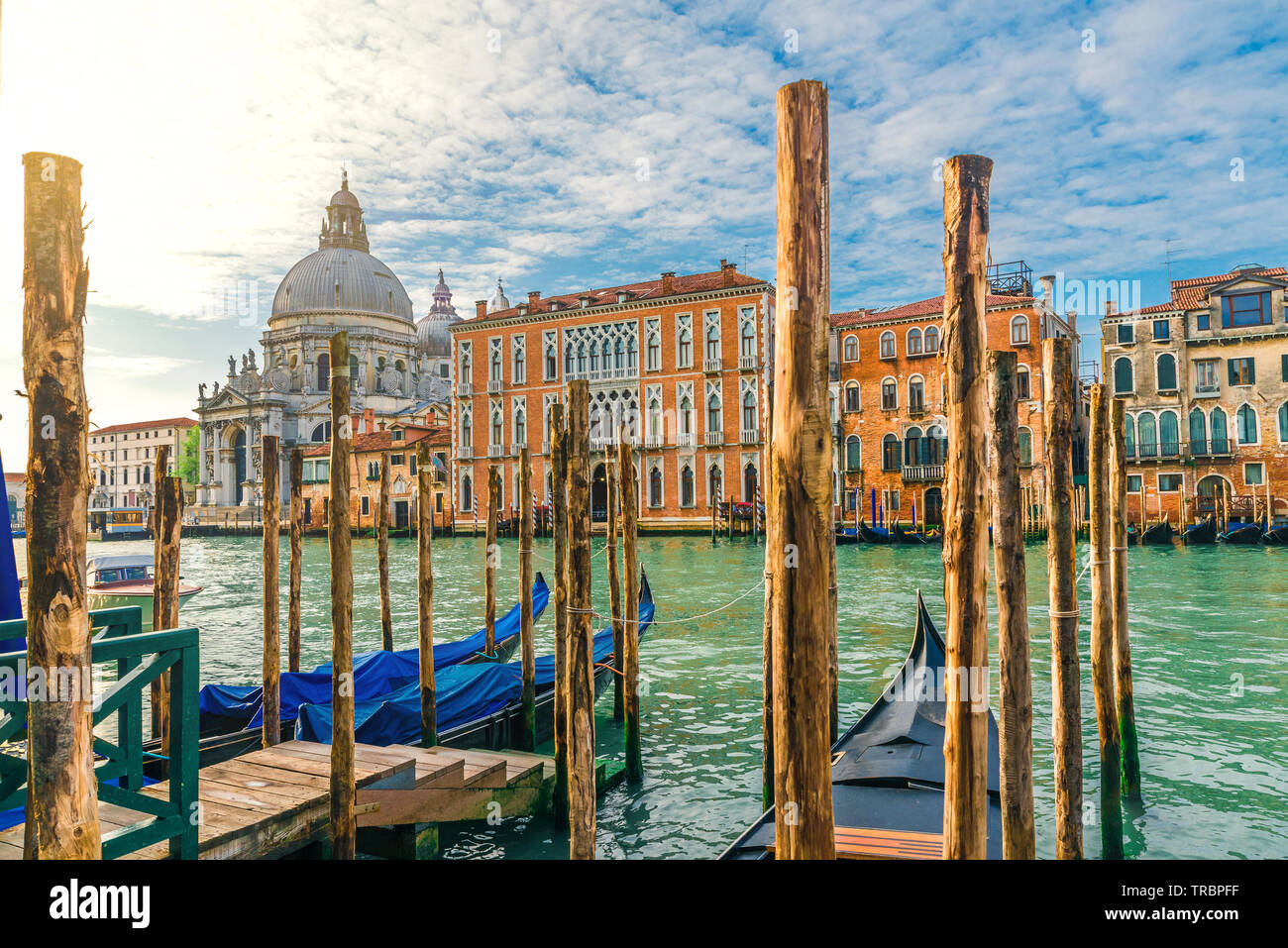 view of the Grand Canal and Basilica Santa Maria della Salute during sunrise with gondolas, Venice, Italy, Europe Stock Photo