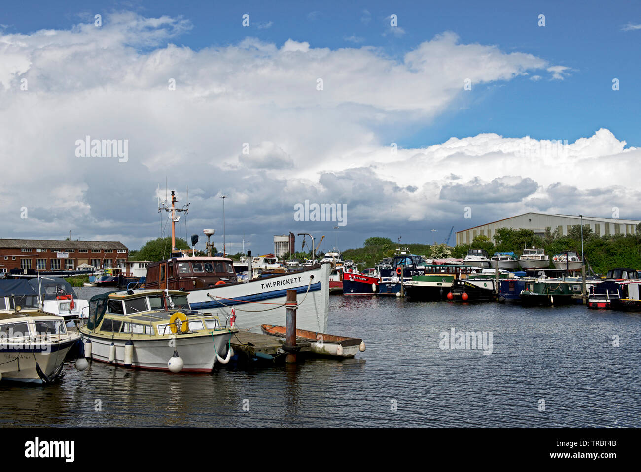 Boats moored in the marina, Goole,