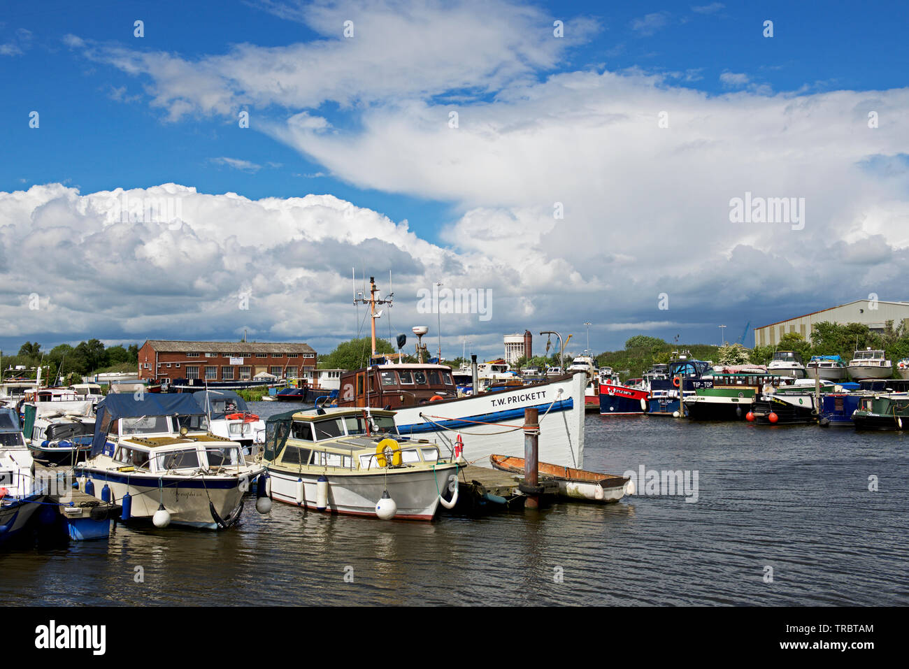 Boats moored in the marina, Goole,
