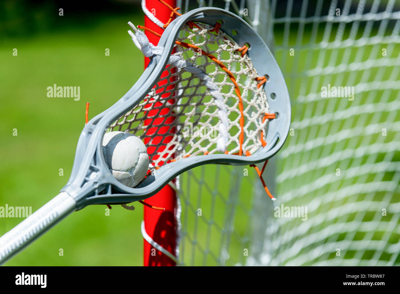 Lacrosse Sticks With Ball Male Sports High-Res Vector Graphic