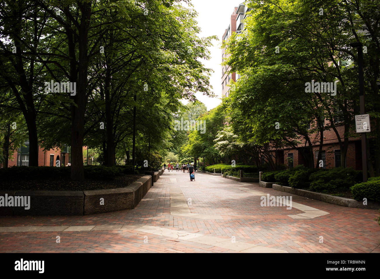 Trees and gardens line the Southwest Corridor park in the Back Bay