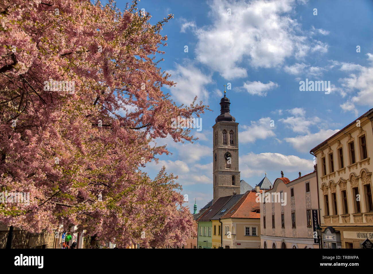 Map of cosmopolis hires stock photography and images Alamy