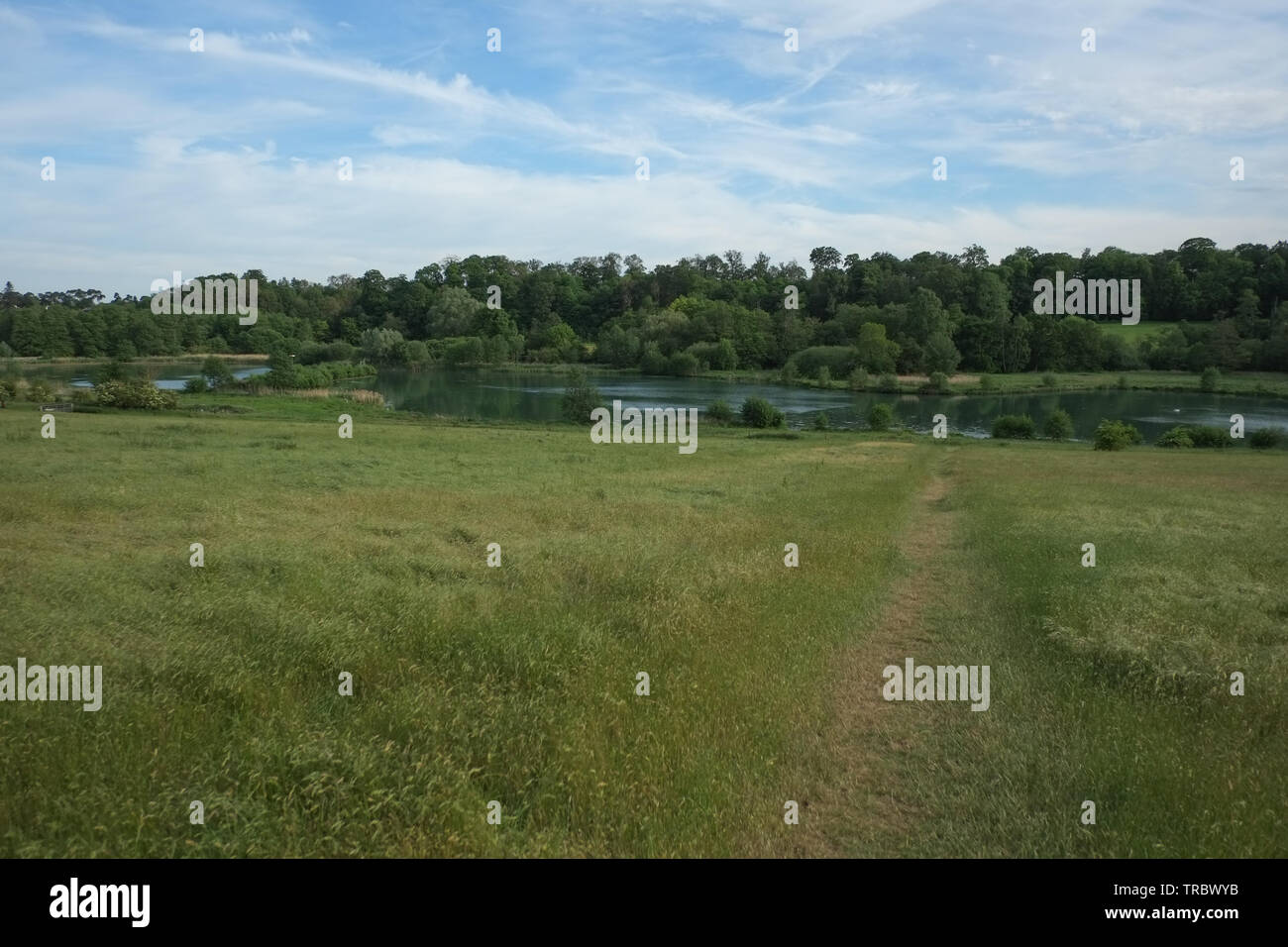 Panshanger Park, Hertford, UK Stock Photo Alamy