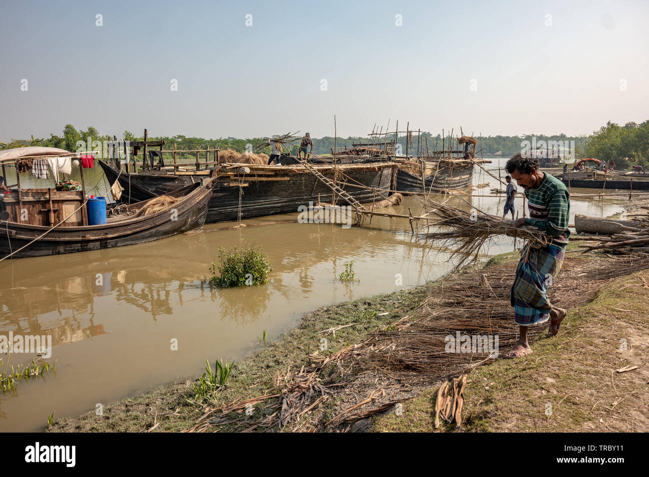 Rice straw being harvested and loaded on boats in Bangladesh Stock Photo