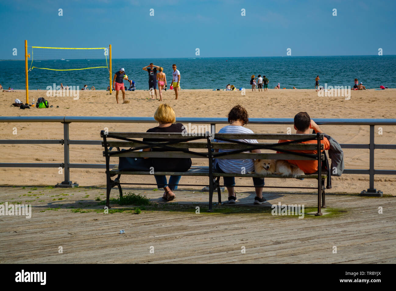Two woman, man and the dog between them are sitting on the Bench in front of the beach and watching people play volleyball. Stock Photo