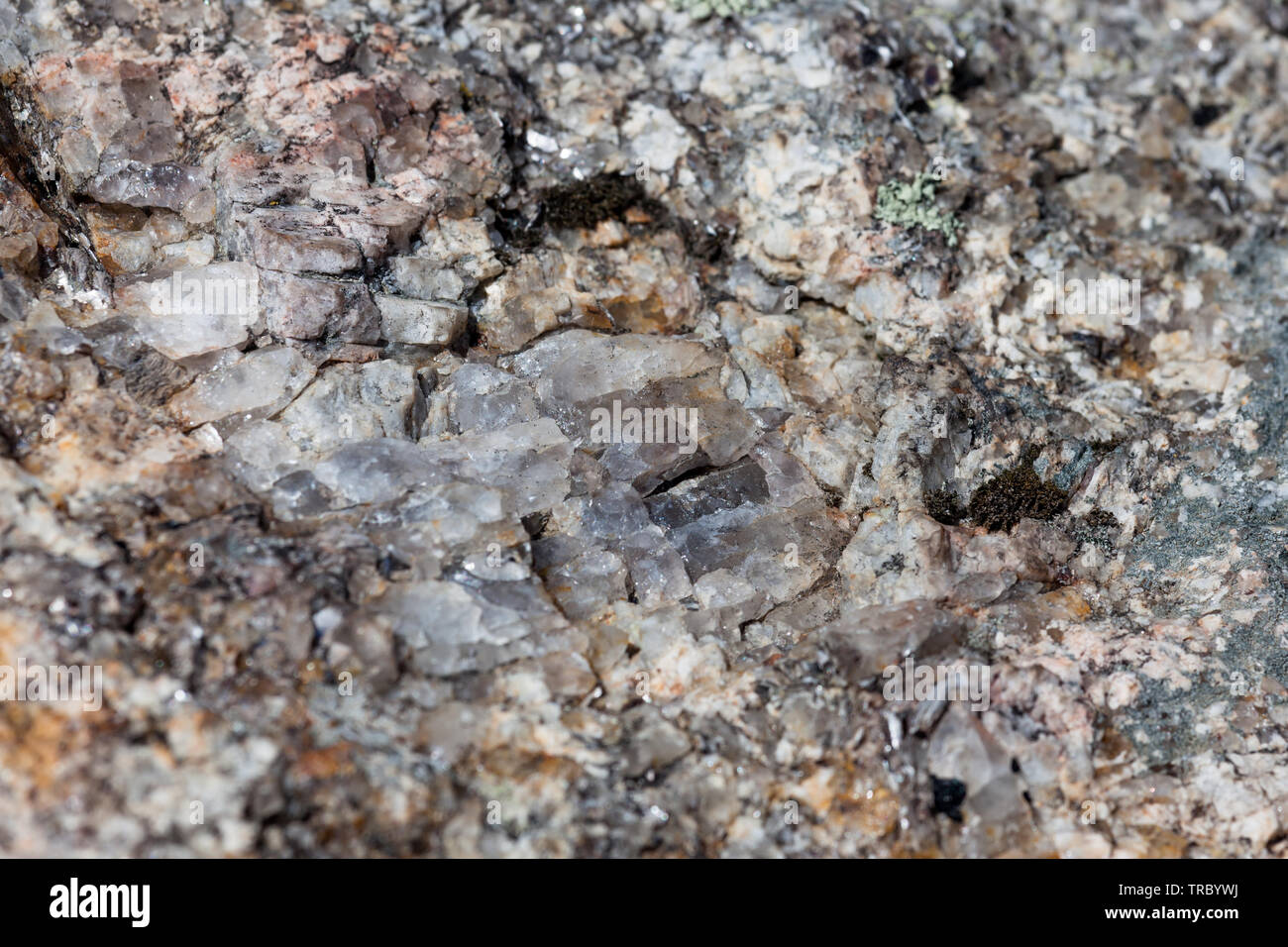 Smokey quartz crystal in the middle of a granite boulder in Custer State Park, South Dakota
